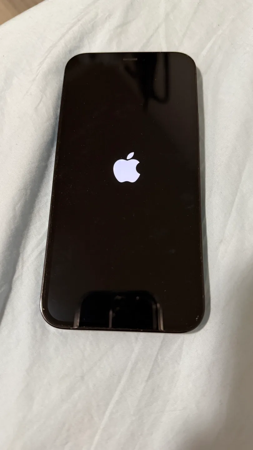 Apple iPhone 12 Pro image indicator(2)