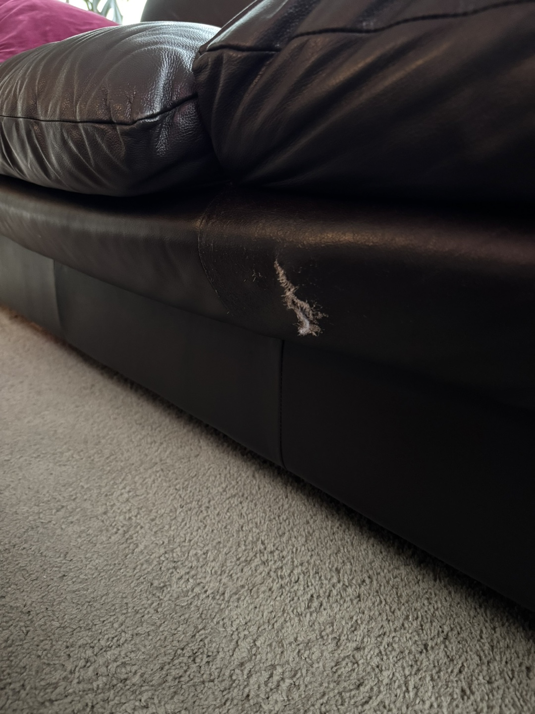 Couch and Chair - photo 3