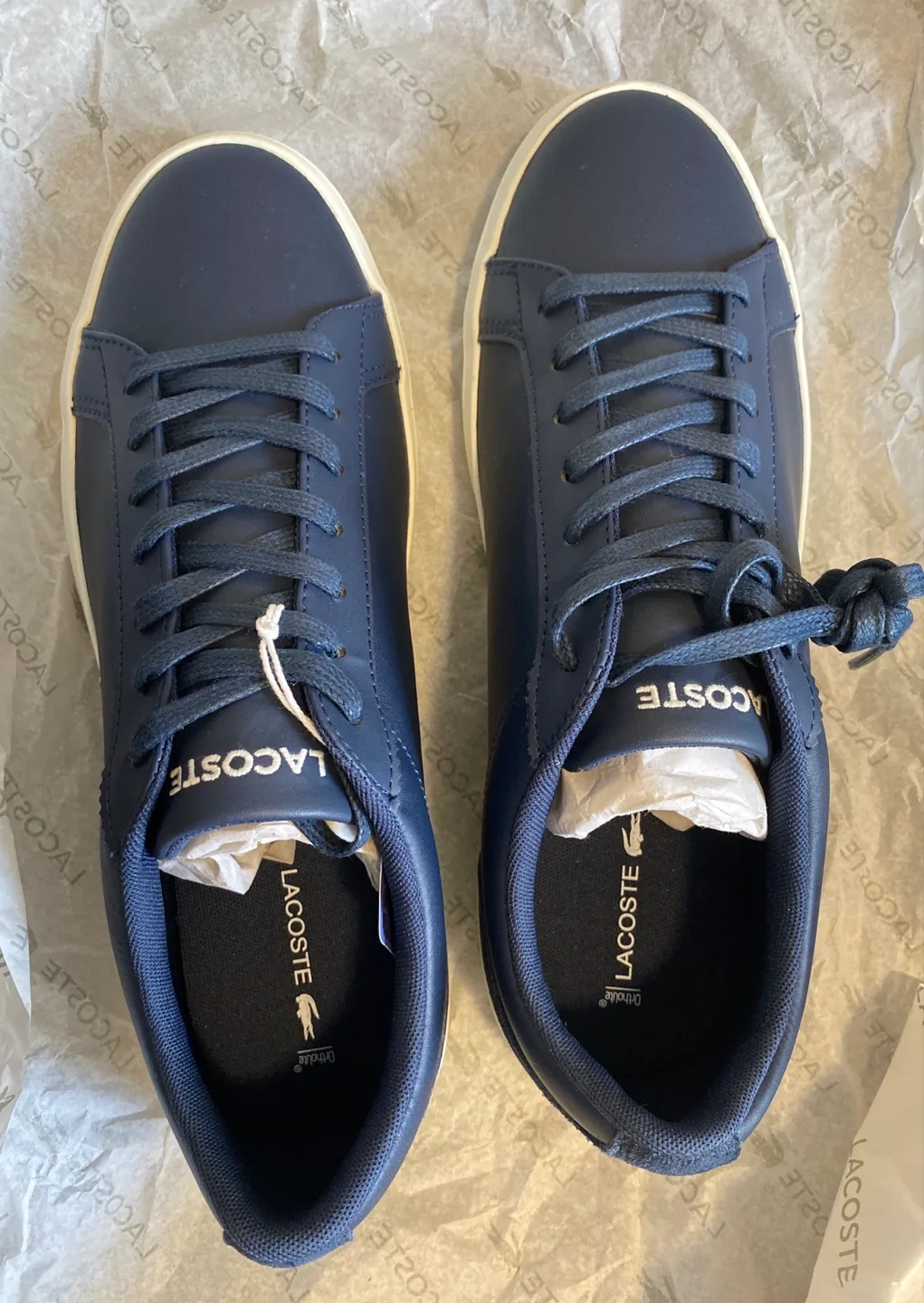 Lacoste Navy Blue Sneakers - New with Box! image indicator(2)