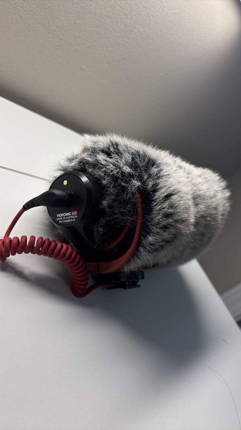 Rode VideoMic GO On-Camera Microphone - photo 4