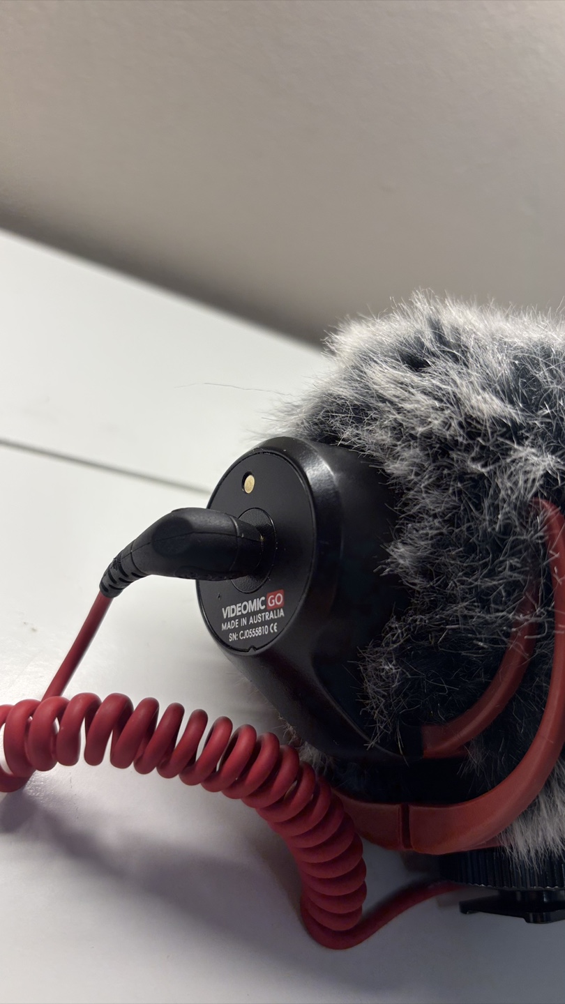 Rode VideoMic GO On-Camera Microphone - photo 3