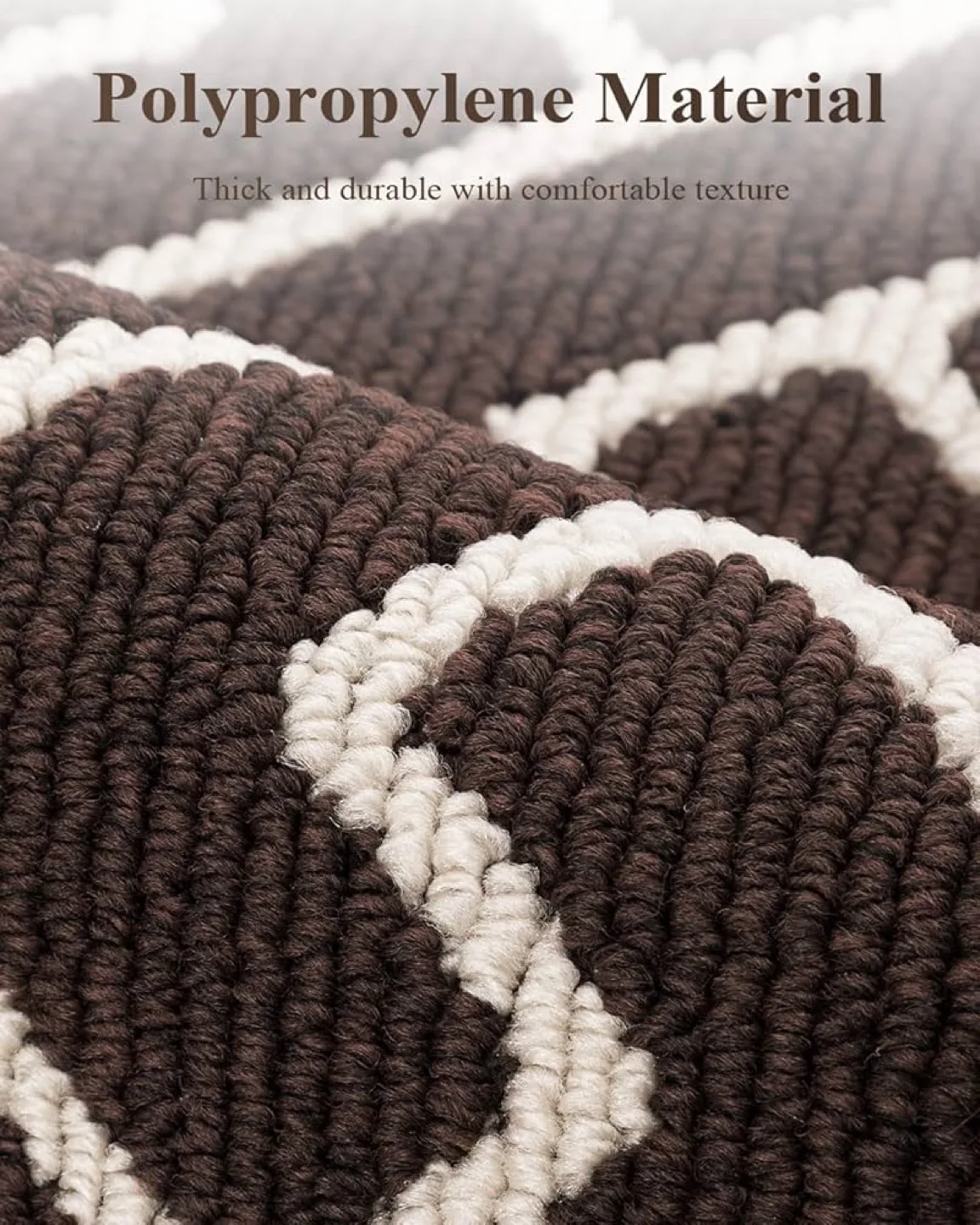 New hicorfe Doormat,Front Door Non Slip mat 36"x59" image indicator(2)