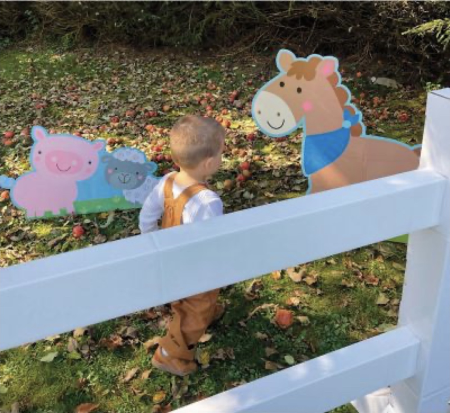 Farm Animal Cutouts for Party Decorations - photo 3