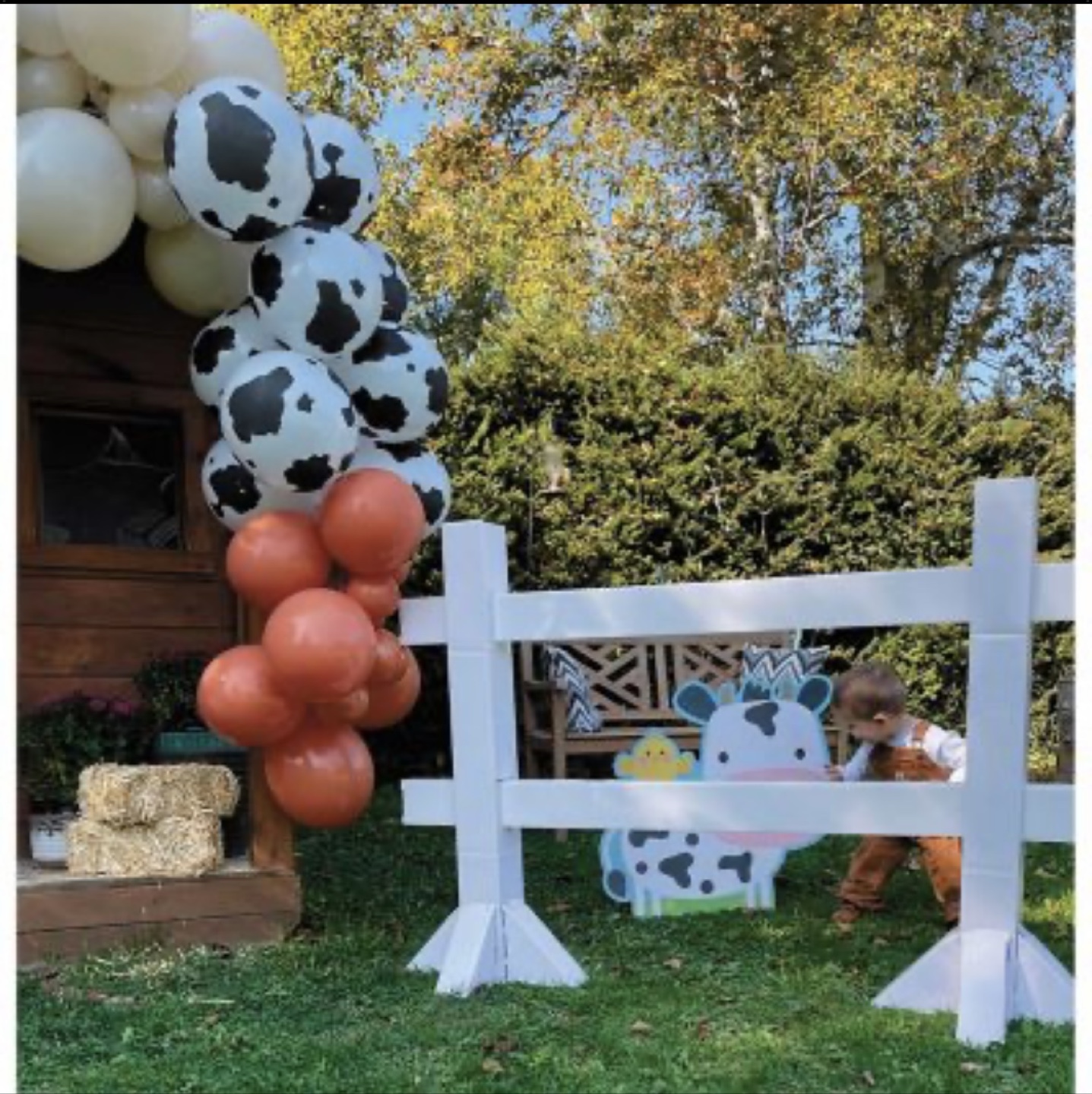 Farm Animal Cutouts for Party Decorations - photo 2