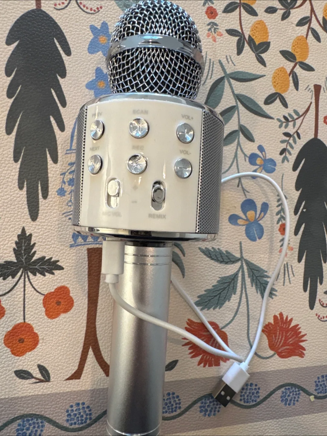 Karaoke Microphone with USB Charger thumbnail
