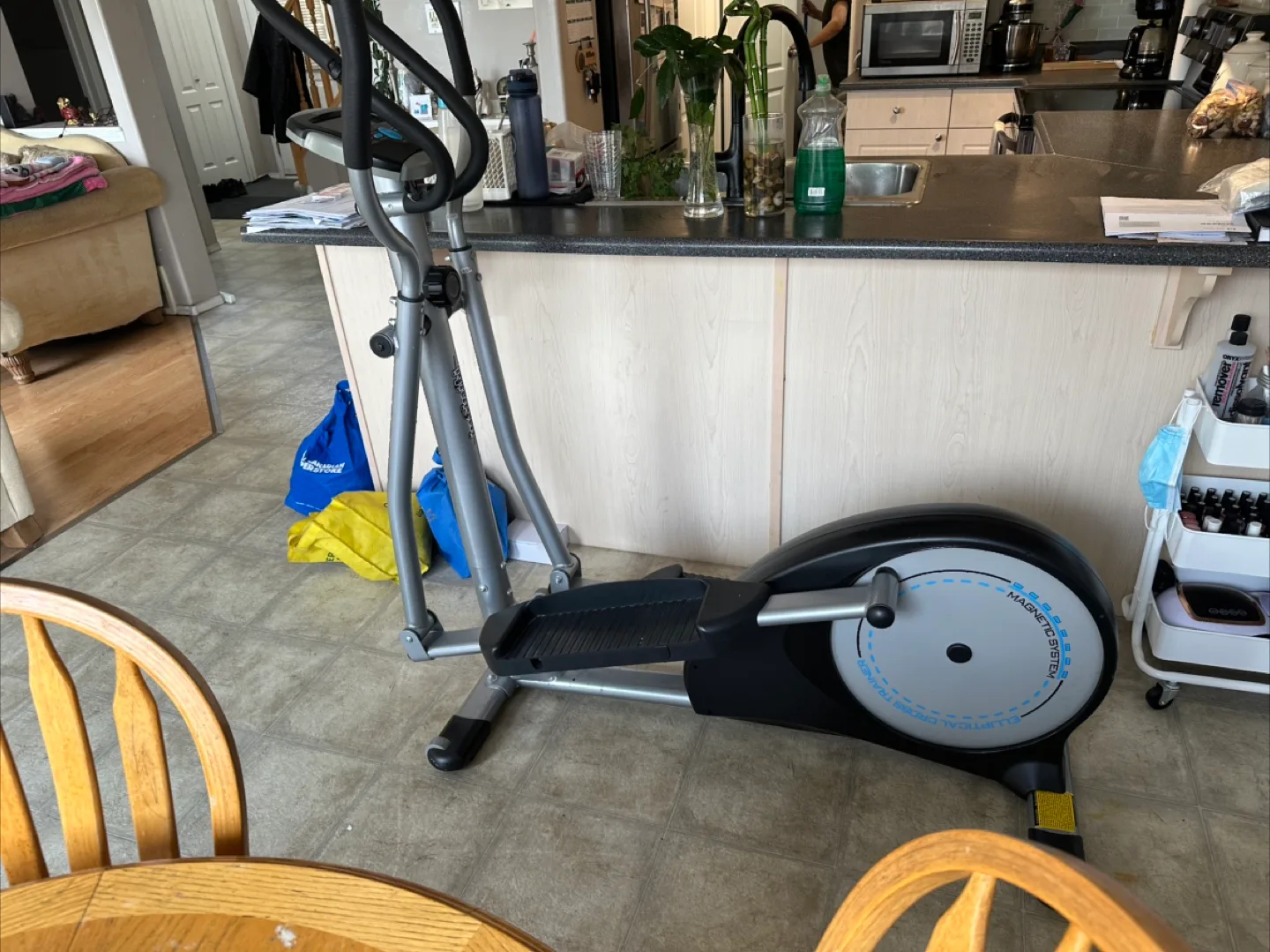 Body Solid Fitness Systems Elliptical Machine thumbnail