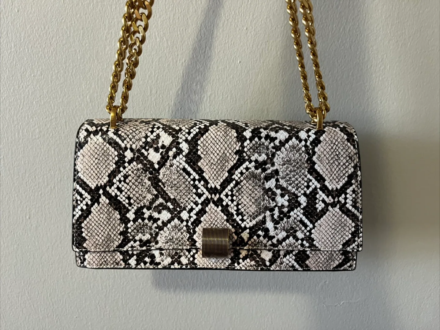 Brand New Charles & Keith Snake Print Chain Purse thumbnail