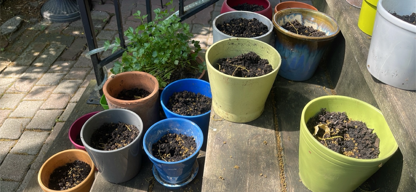 Assorted Garden Pots REDUCED TO SELL - photo 2