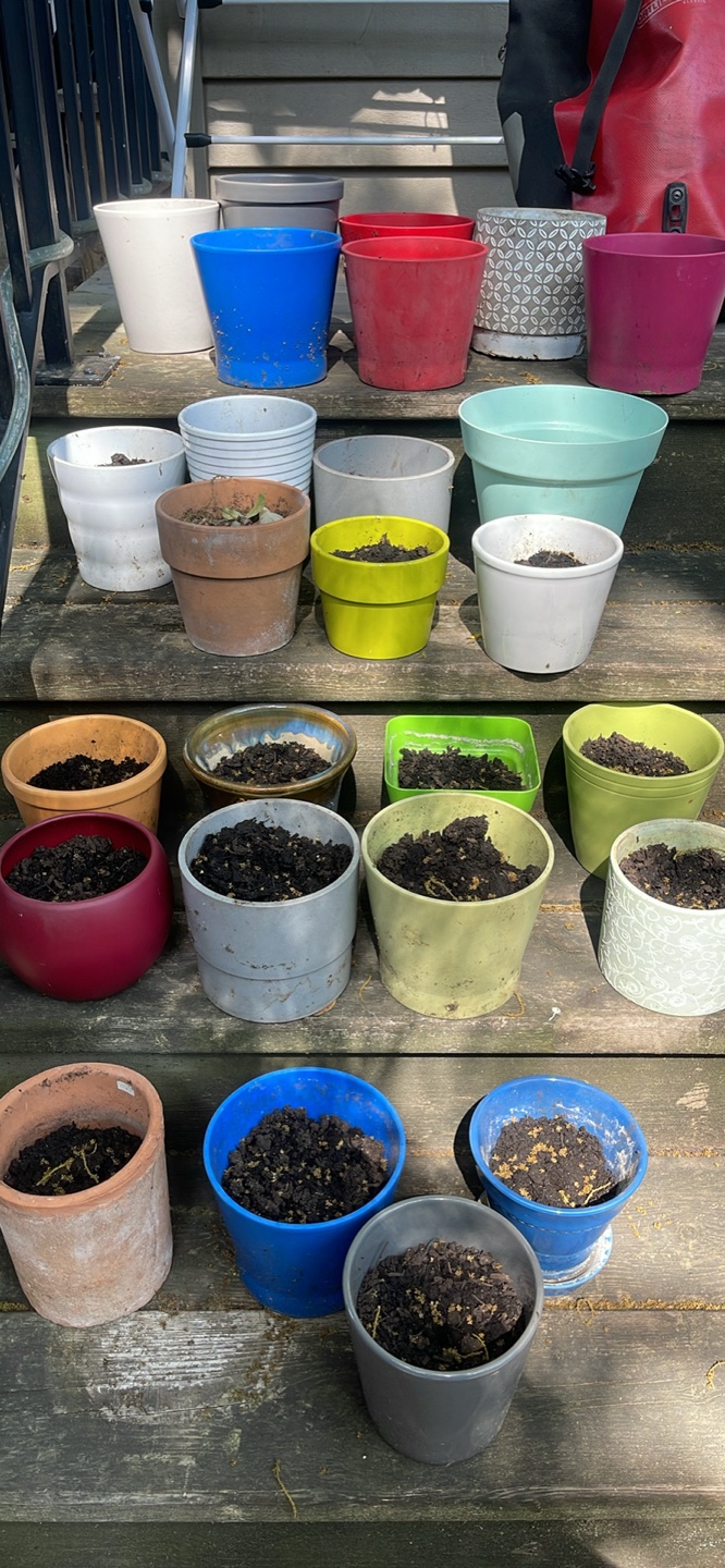Assorted Garden Pots REDUCED TO SELL - photo 3