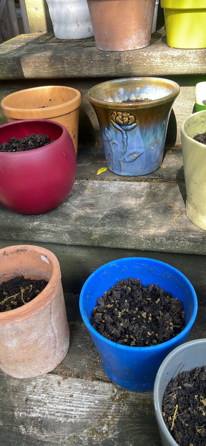 Assorted Garden Pots REDUCED TO SELL - photo 5