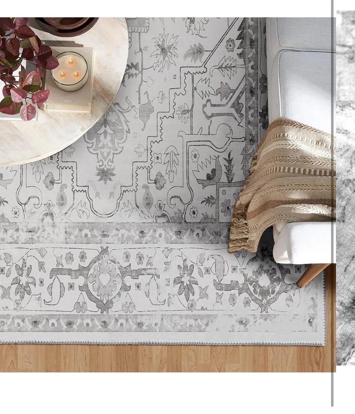 Area Rug 8x10 Machine Washable Vintage Traditional  Non-Slip image indicator(4)