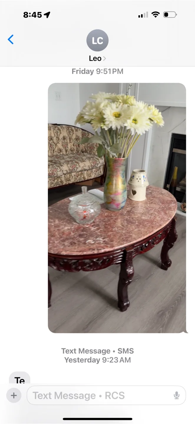 Vintage Floral Sofa and Armchair Set thumbnail