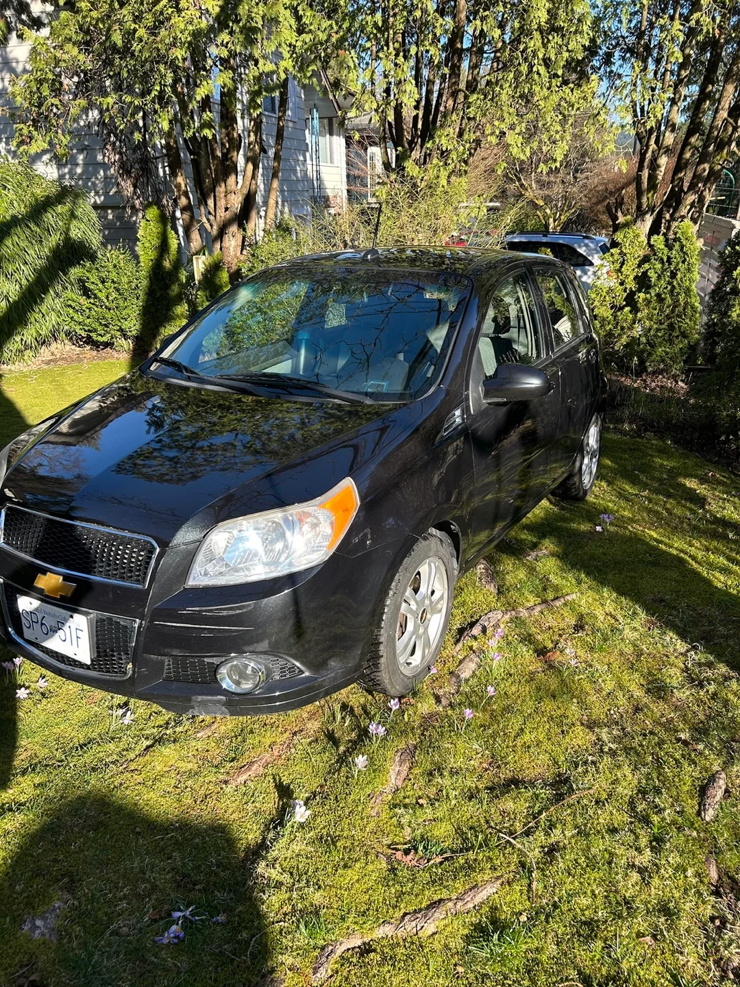 Small Car - Chevy Aveo Hatchback image indicator(4)