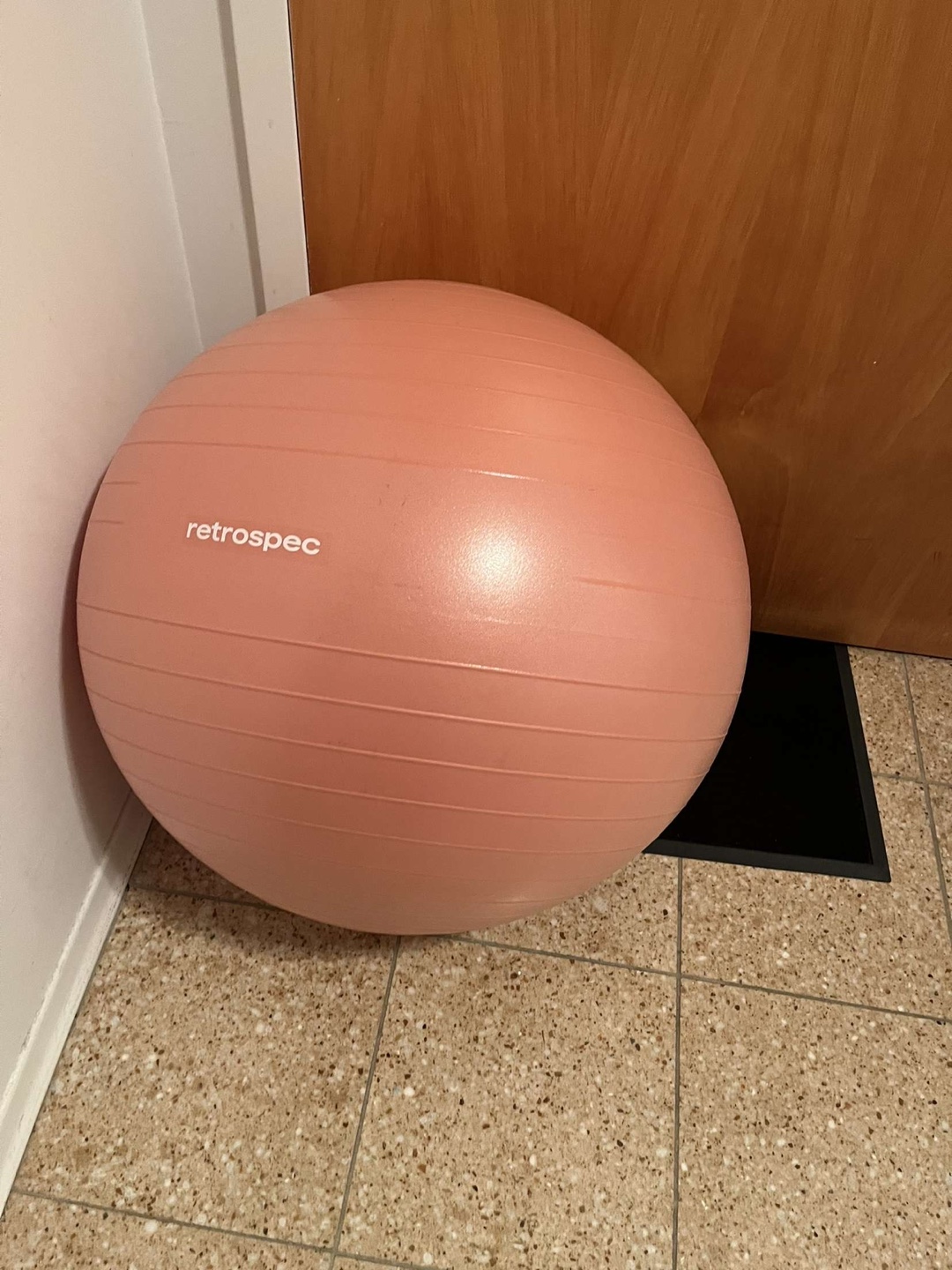 Retrospec Luna Exercise/Pregnancy Ball - Pink - photo 2