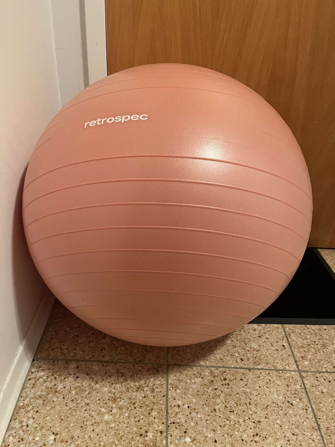 Retrospec Luna Exercise/Pregnancy Ball - Pink