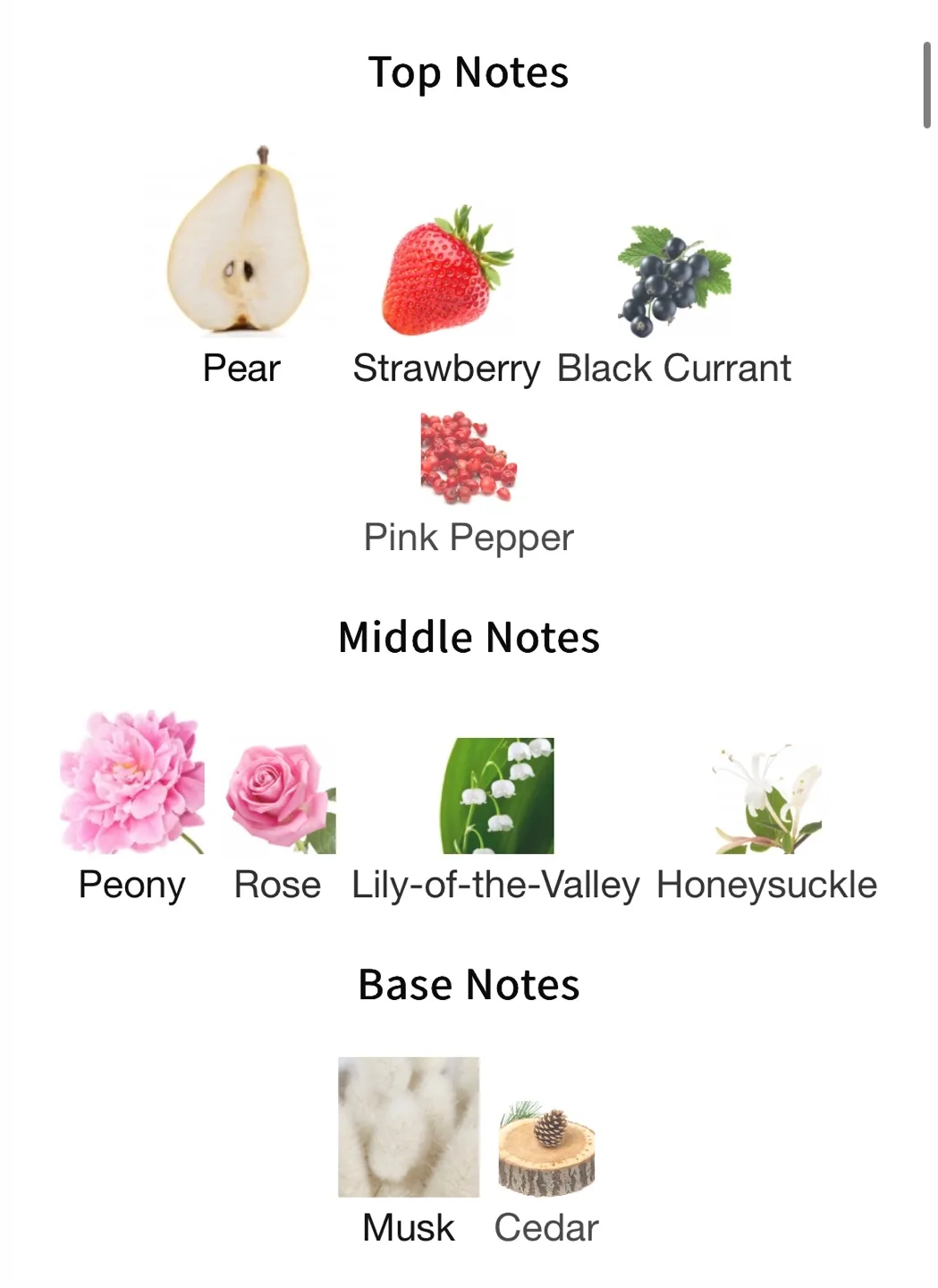 Burberry Her EDT Travel Spray - 10ml image indicator(3)