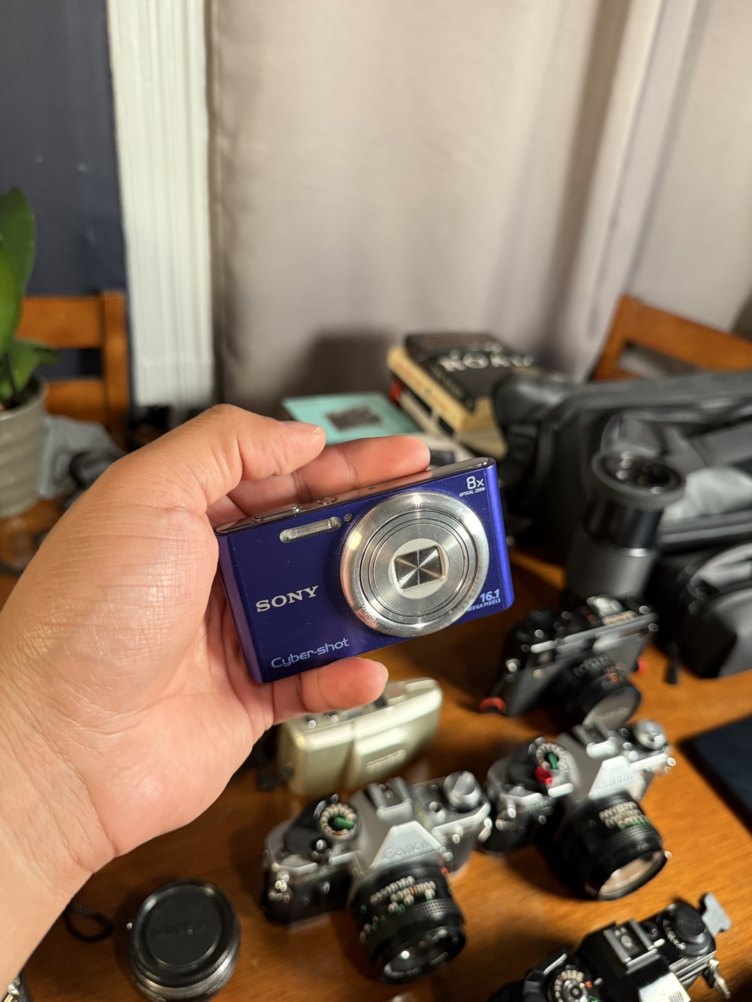 Sony Cyber-shot DSC-W610 16.1MP Digital Camera