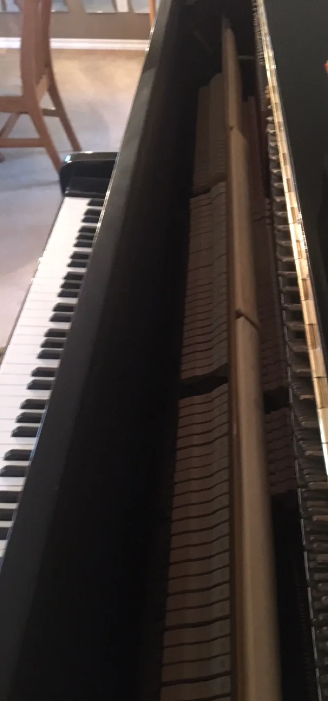 Mint Condition Wagner Black Upright Piano with Bench image indicator(3)