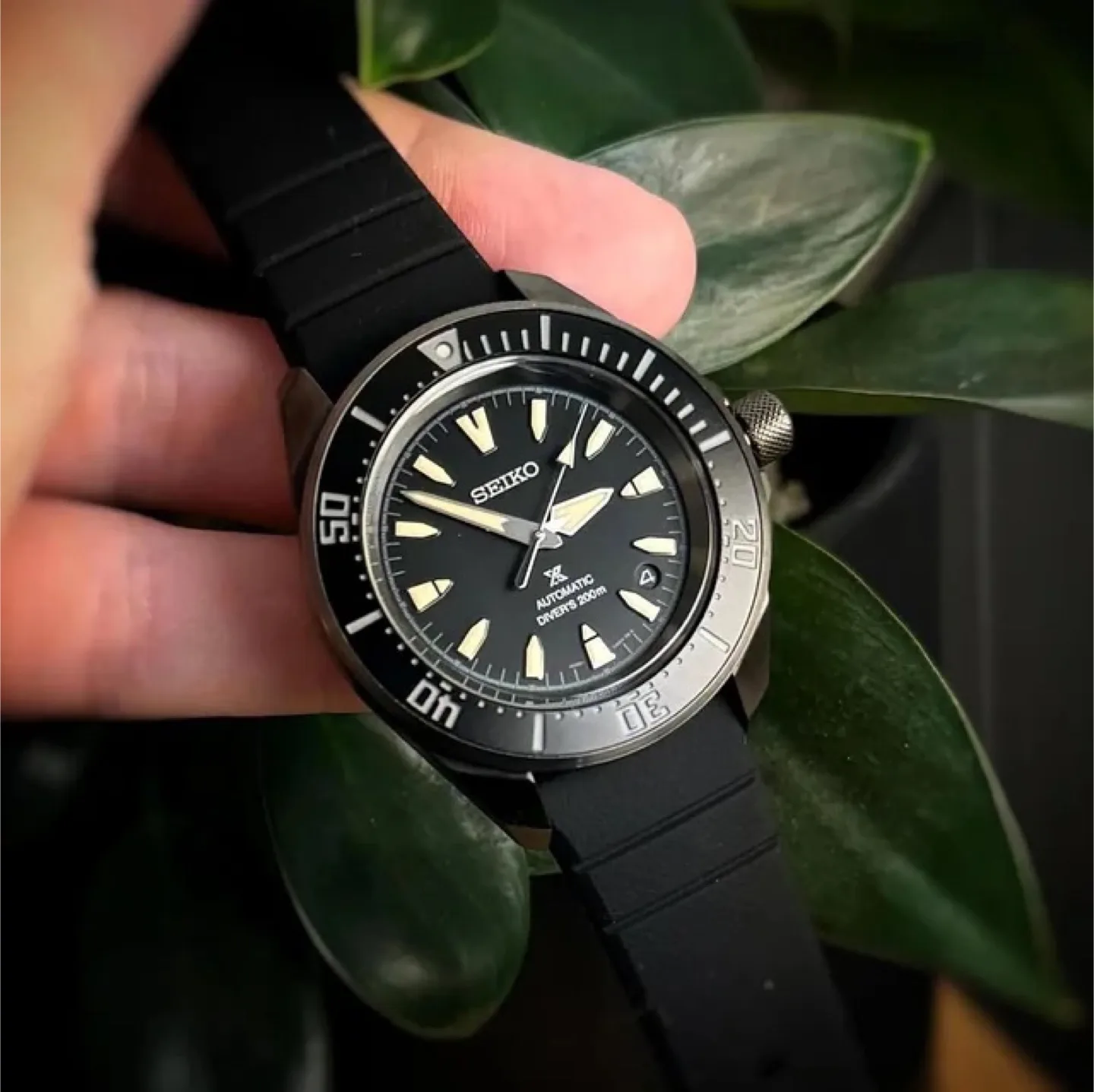 Seiko Samurai SRPL15 thumbnail