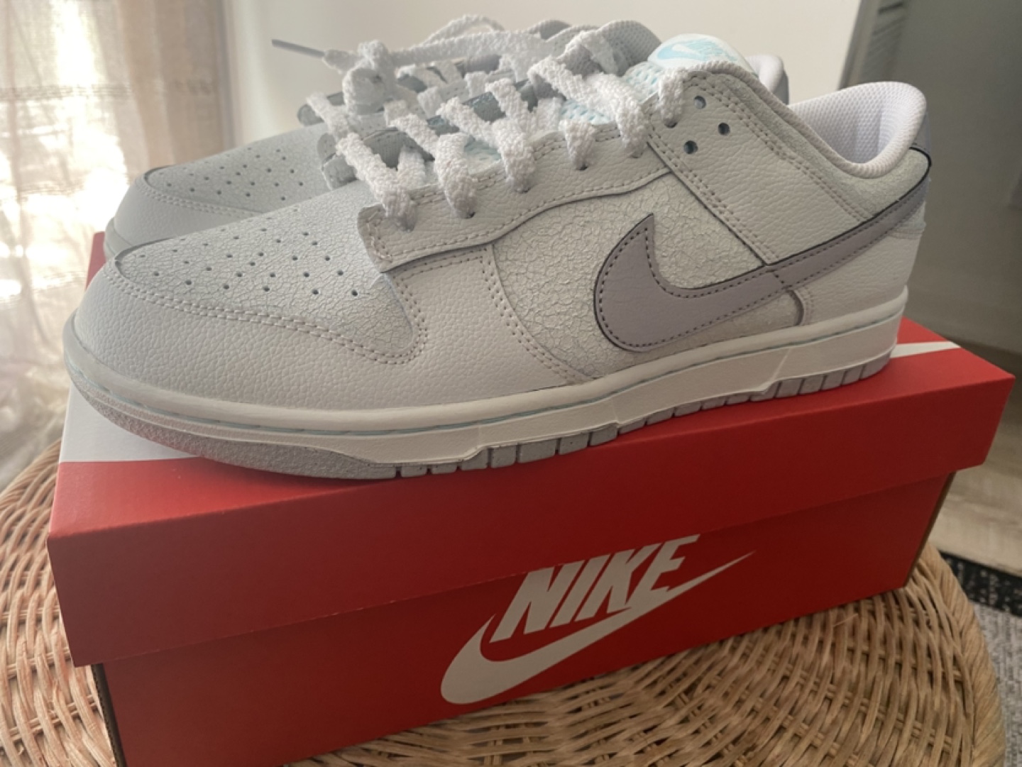 Nike Dunk Low Retro SE White/Silver, US 11 (New)