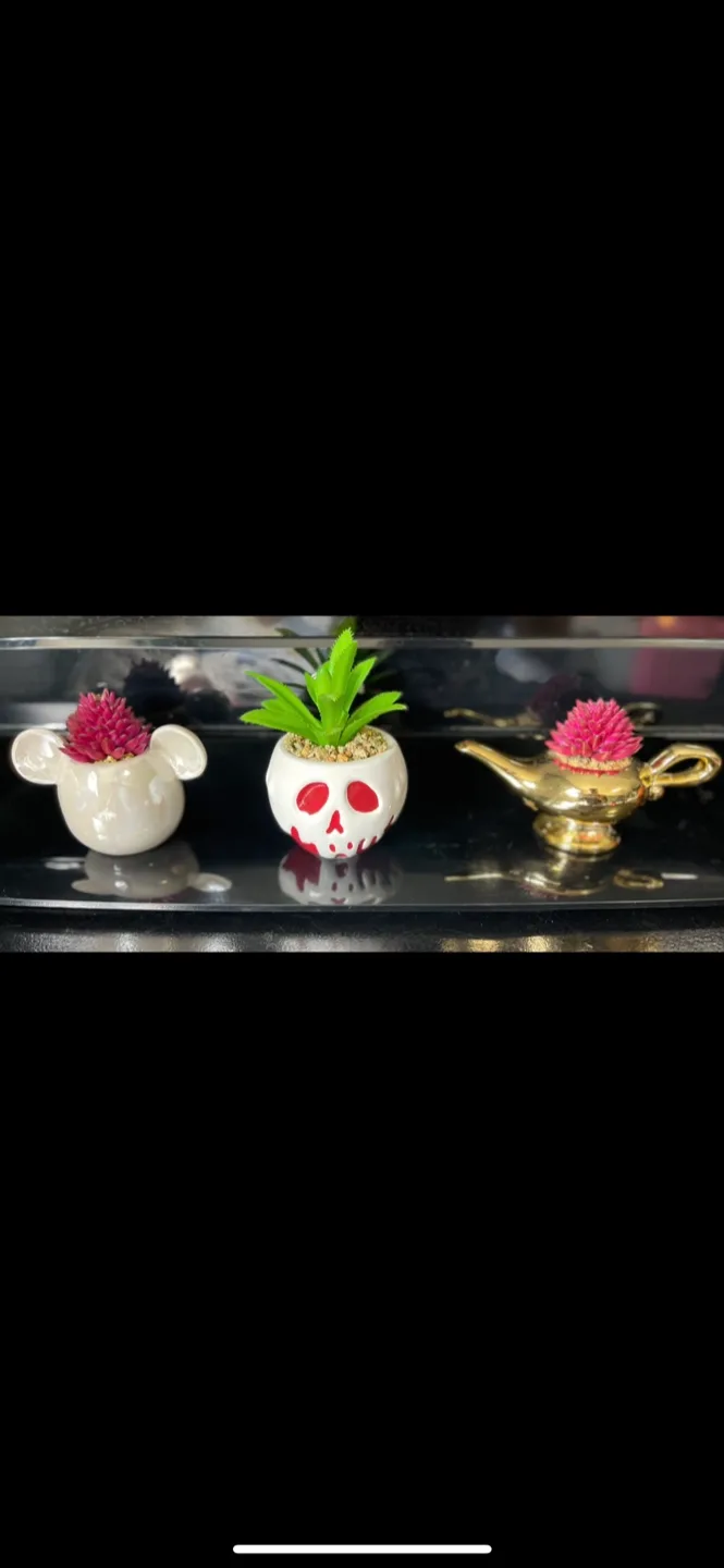Decorative Planter Pots: Mickey, Skull, Aladdin thumbnail