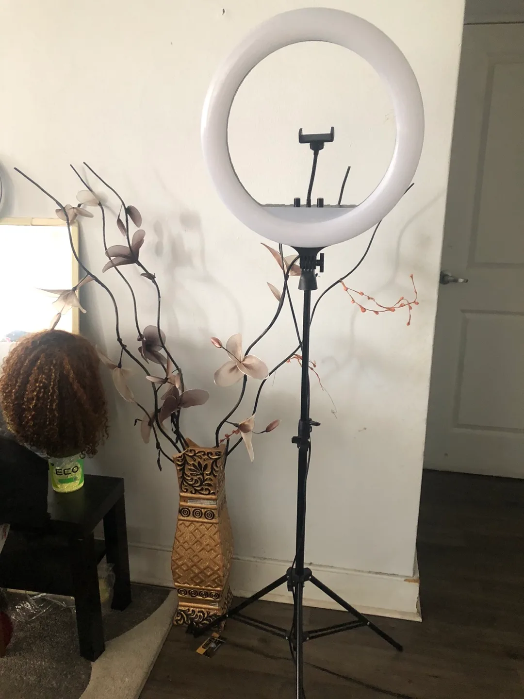 18&12 inches Ring Light with Tripod Stand thumbnail