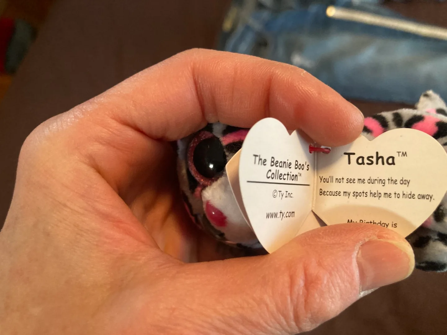 5 TY beanies — new and giftable image indicator(4)