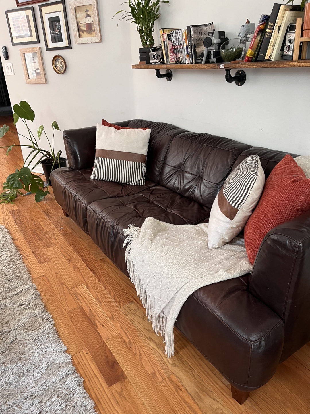 Brown Leather Sofa Couch