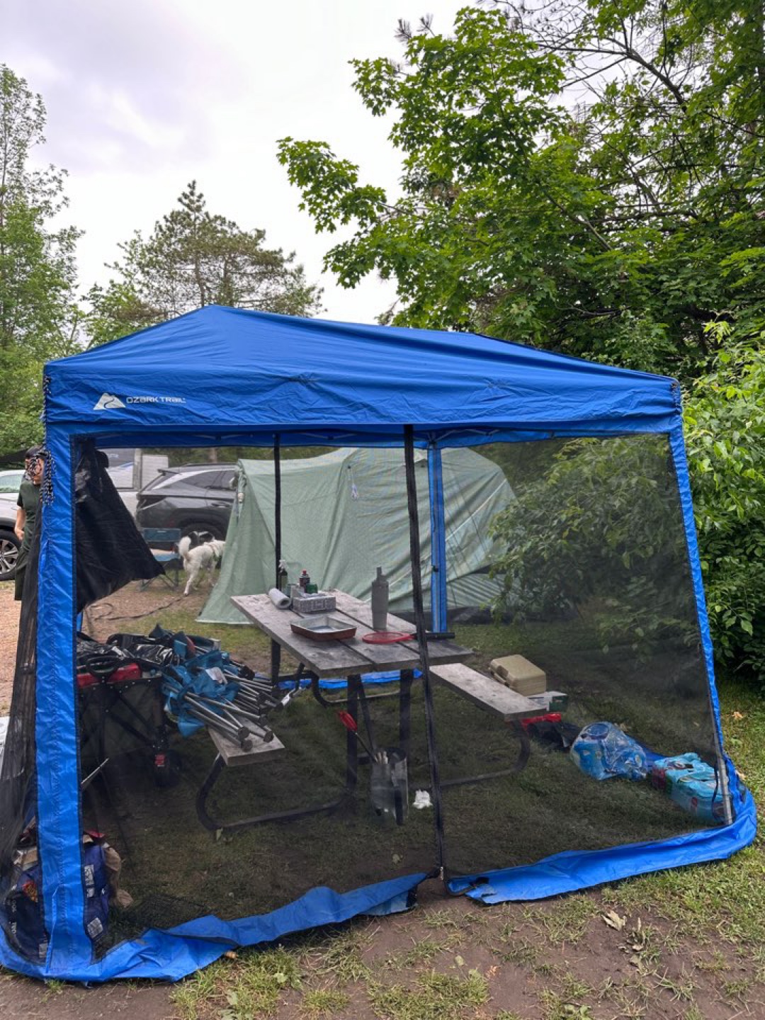 Ozark Trail Slant Leg Canopy with Mesh Curtain