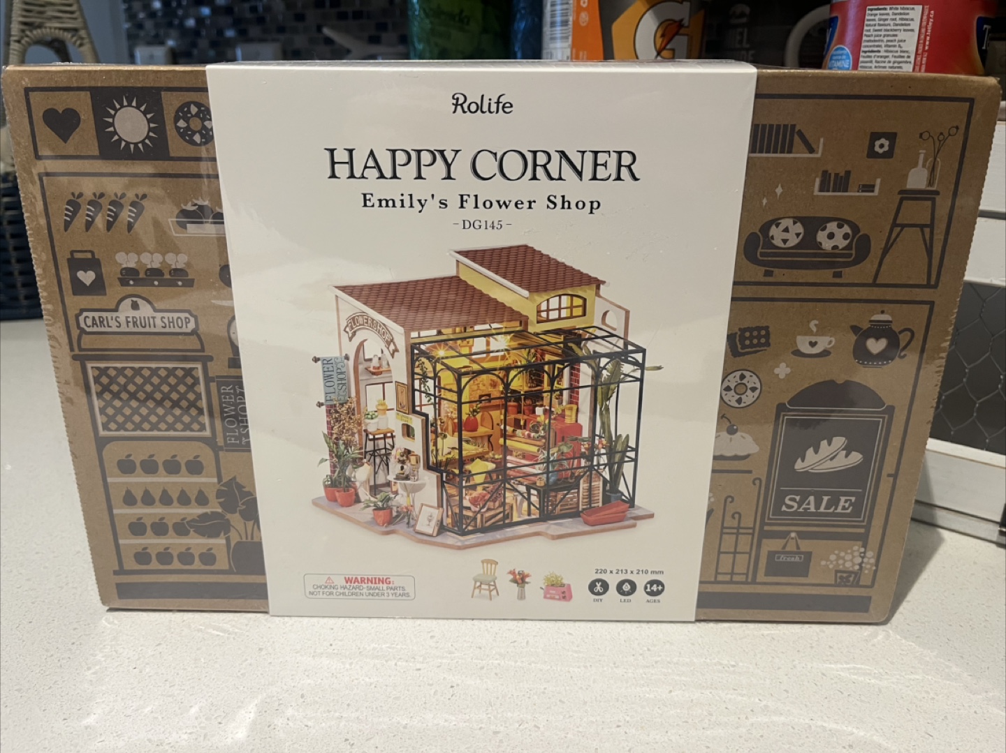 DIY Miniature Houses