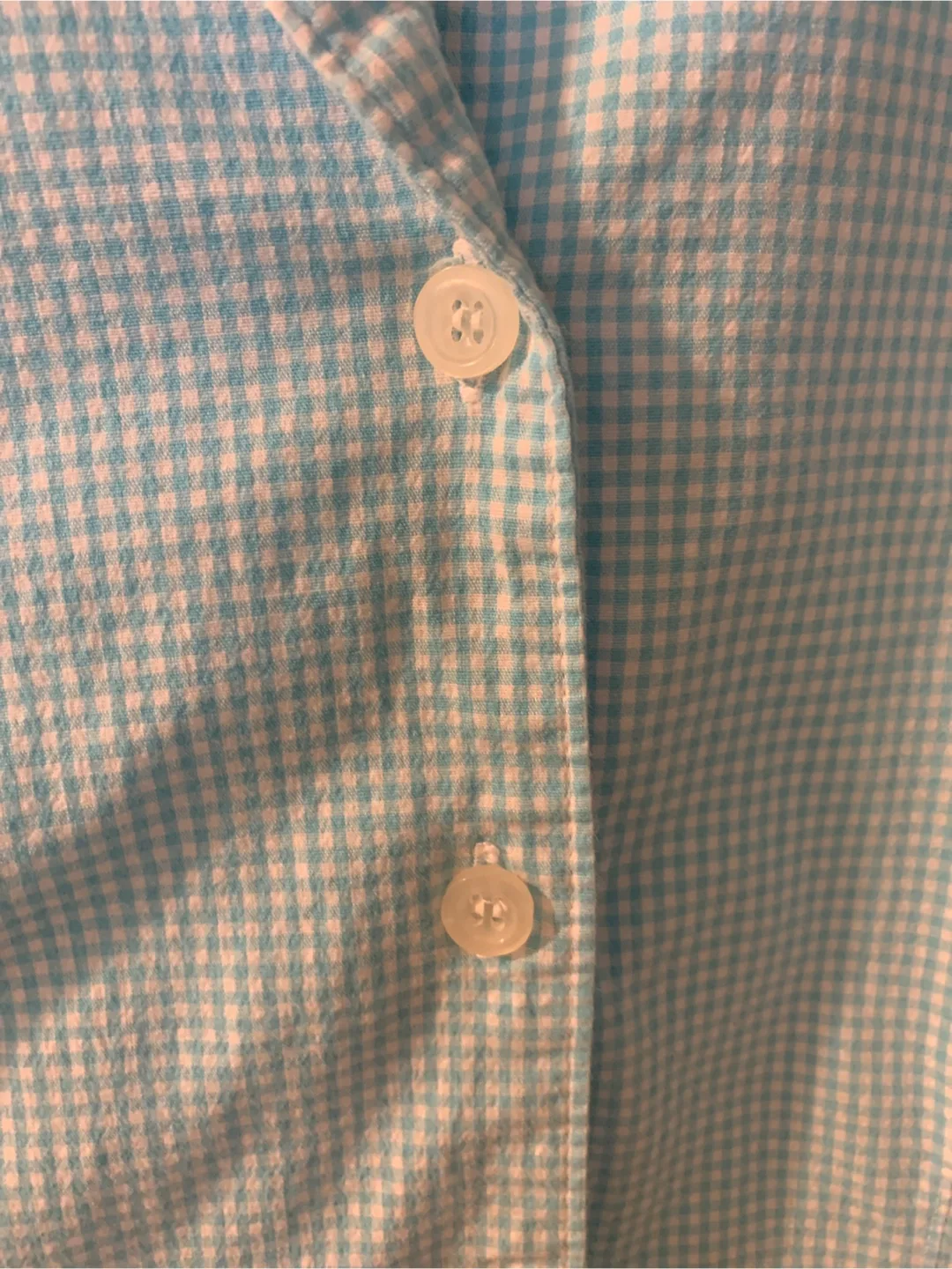 Harve Benard Blue Gingham Blouse image indicator(9)