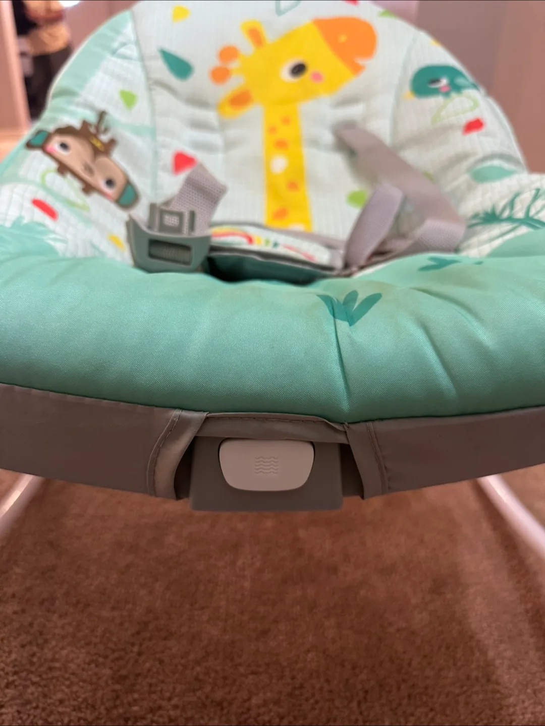 Bright Starts Infant to Toddler Rocker image indicator(5)