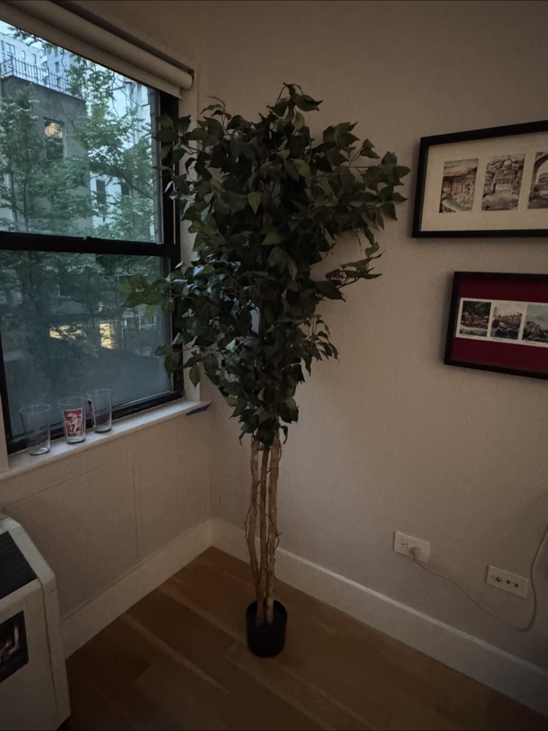 Artificial Ficus Tree