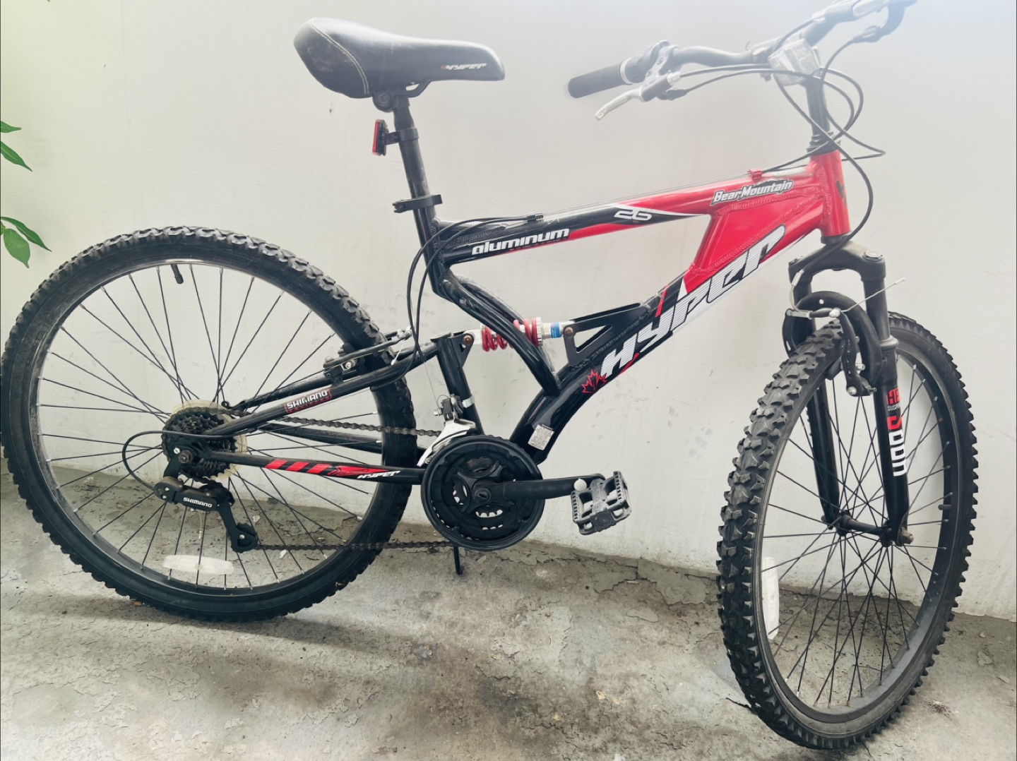 Bicycle