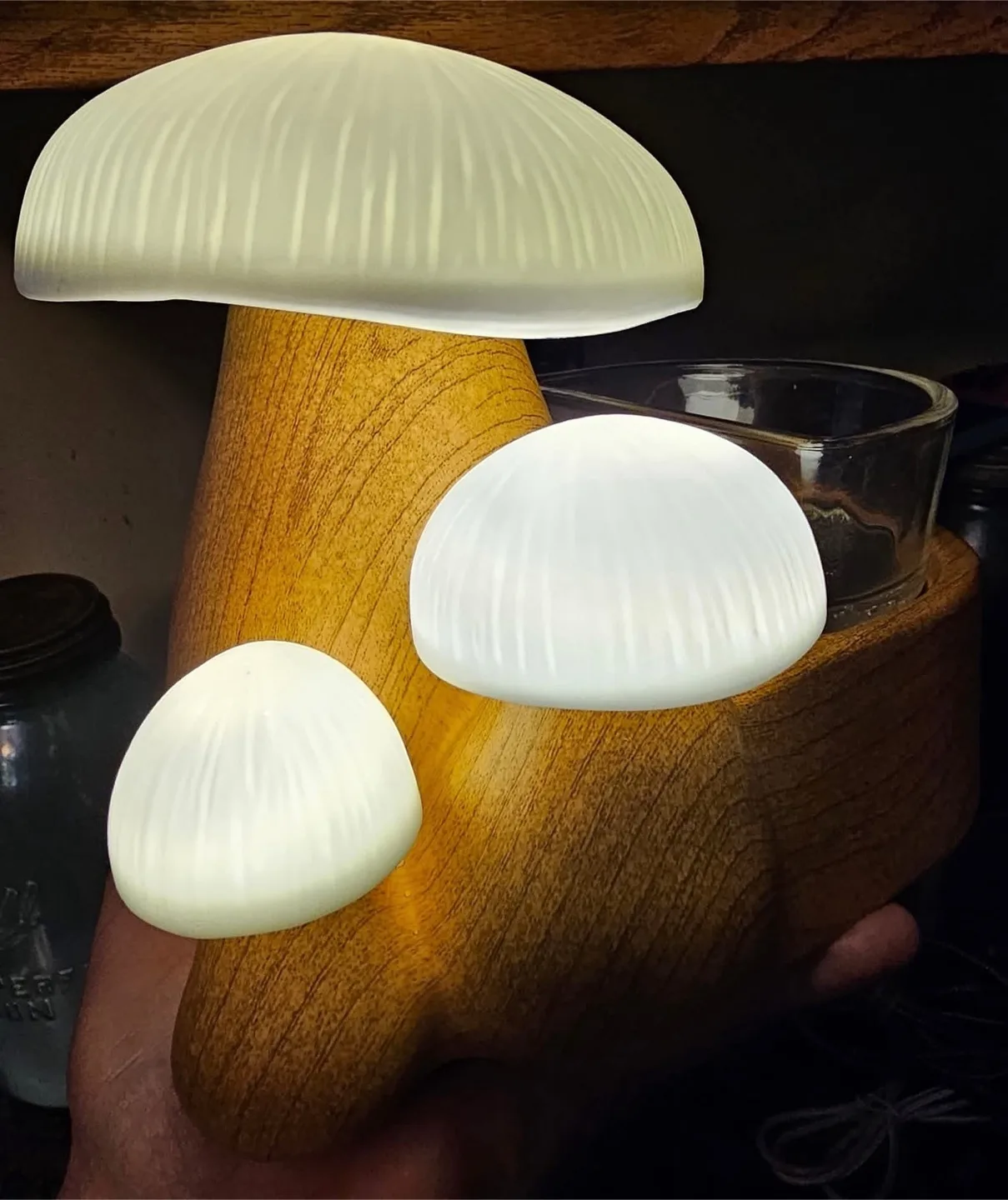🚨Scentsy’s Forest Forage! Coming July 1st!🚨 thumbnail
