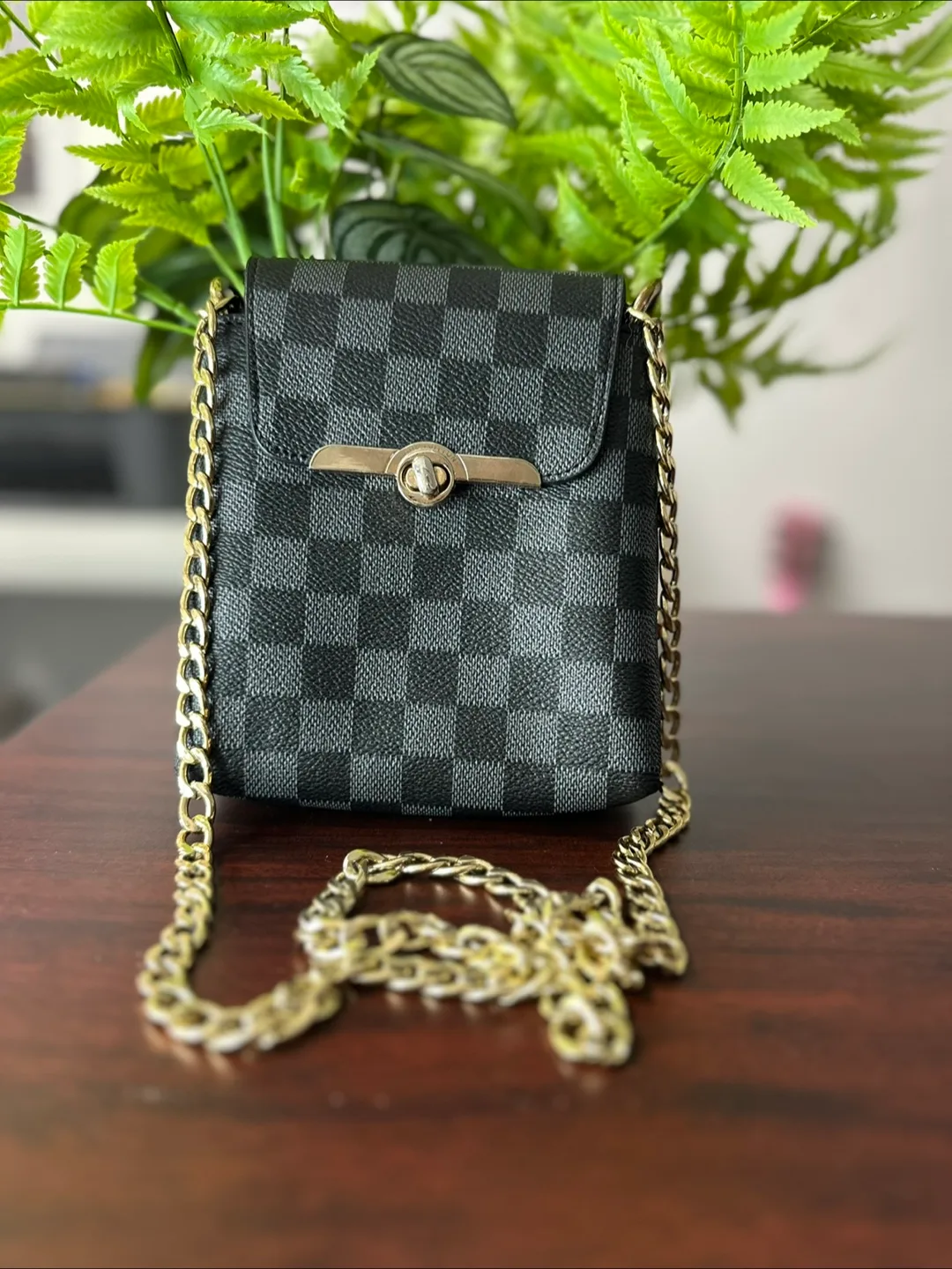 Louis Vuitton Inspired Chain Bag thumbnail