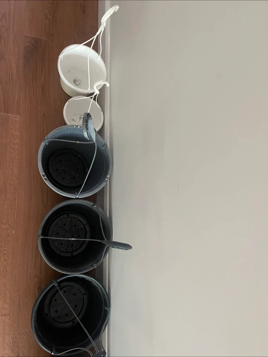 8 Hanging Plant Pots - Assorted Sizes & Colours image indicator(2)