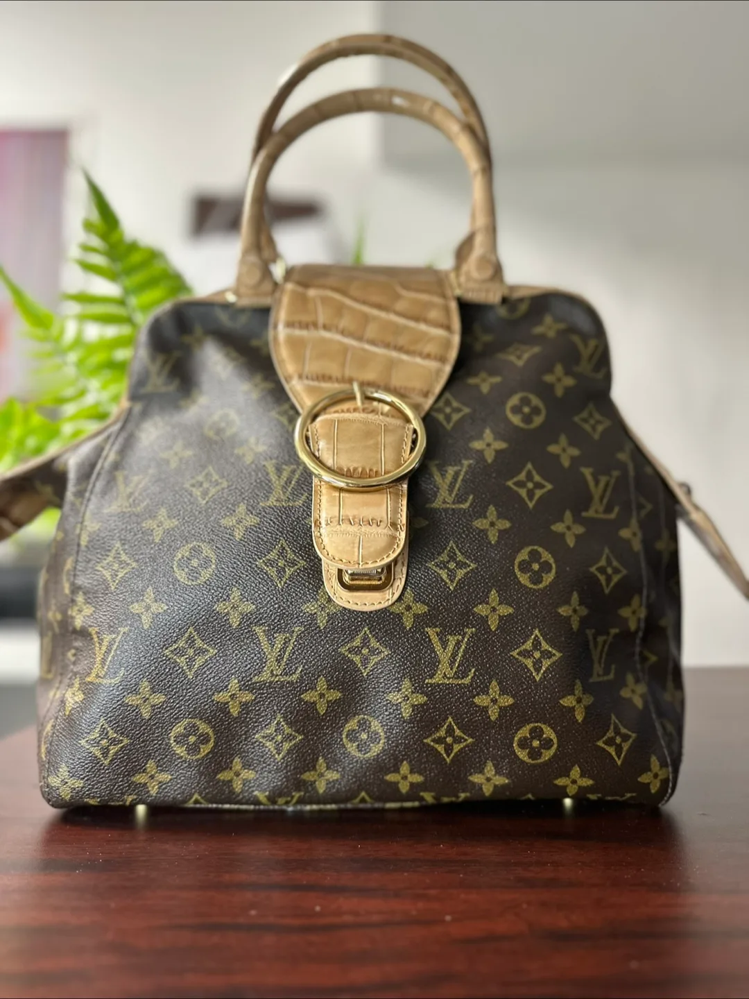 Louis Vuitton Monogram Leather Satchel image indicator(3)