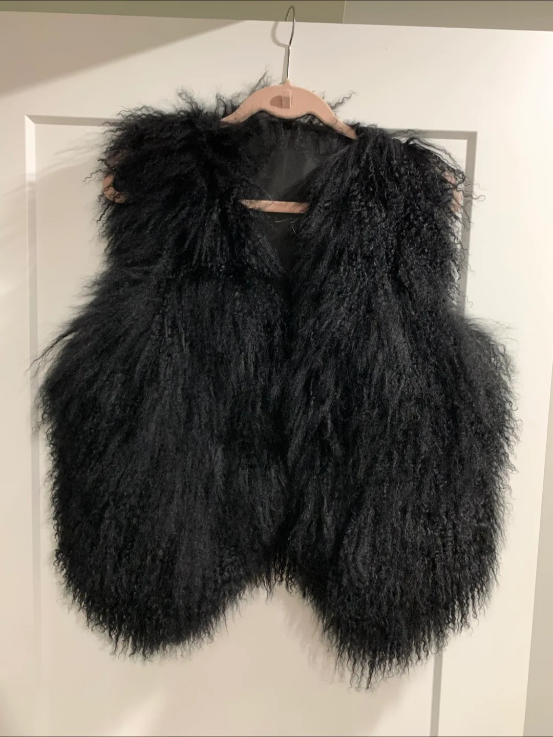 Black Fur Vest thumbnail