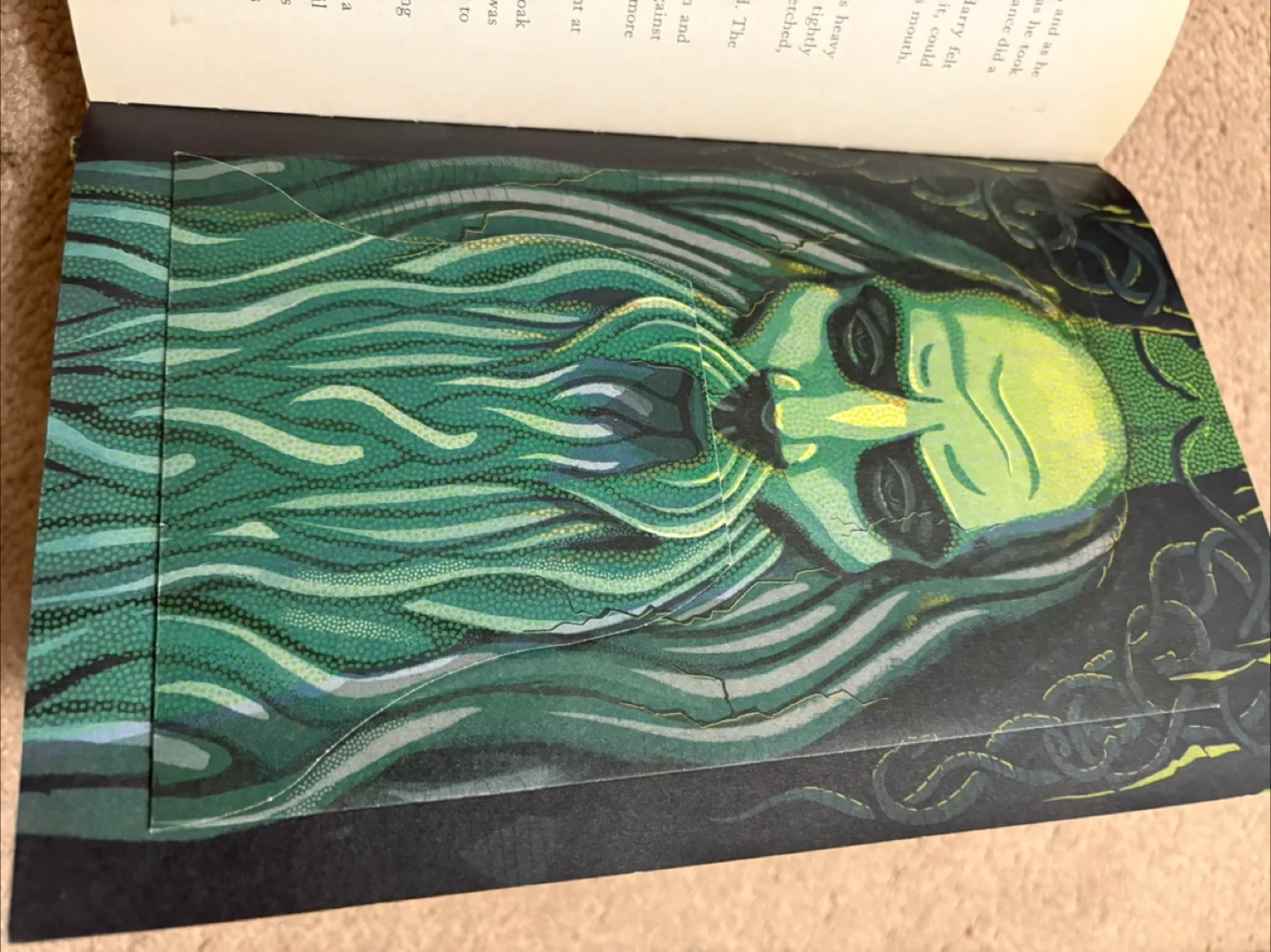 Harry Potter & the Chamber of Secrets: MinaLima Edition image indicator(8)