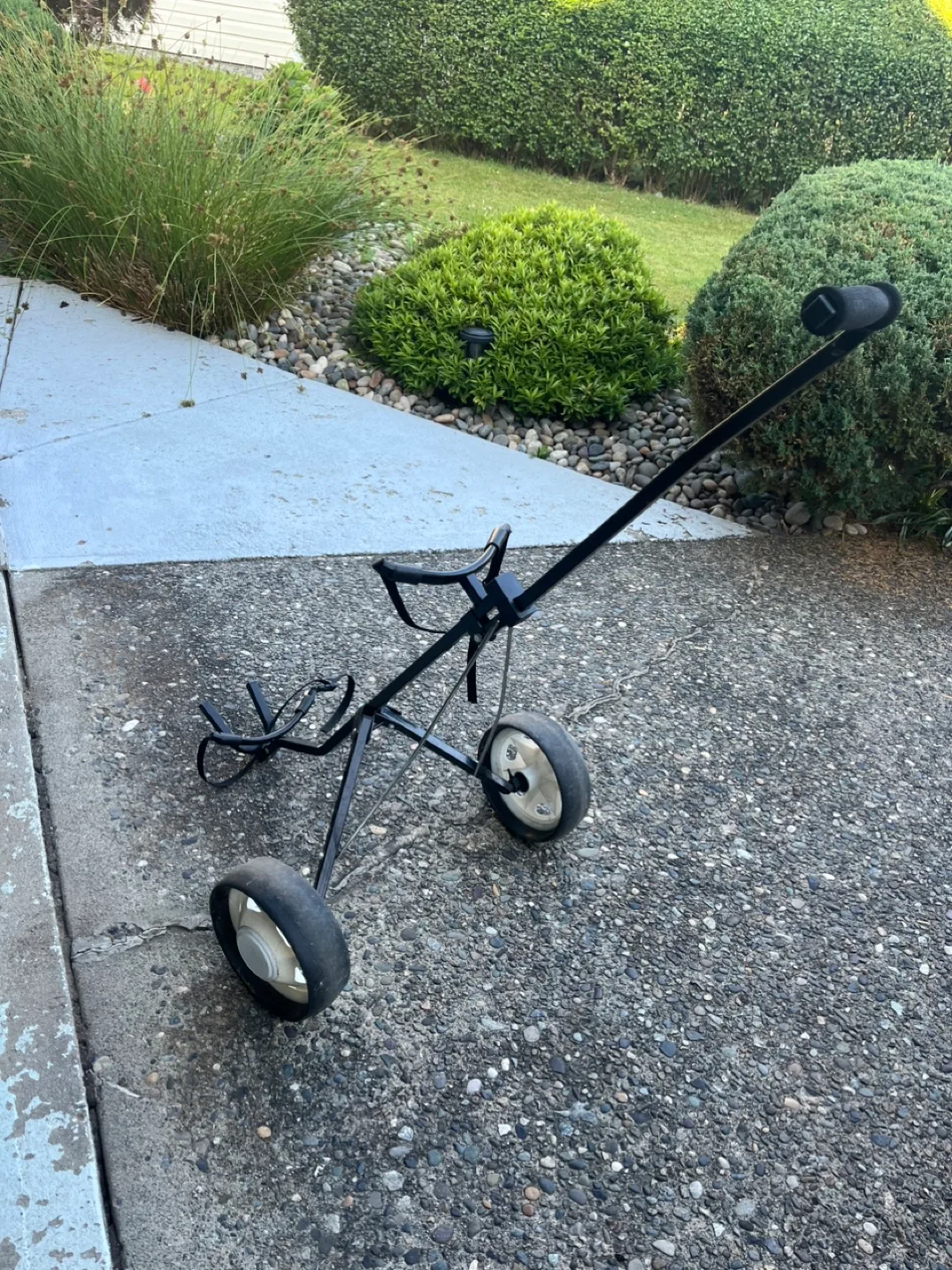 Ultimate Titanium Matrix Select Edition Golf Irons and Golf Cart image indicator(4)