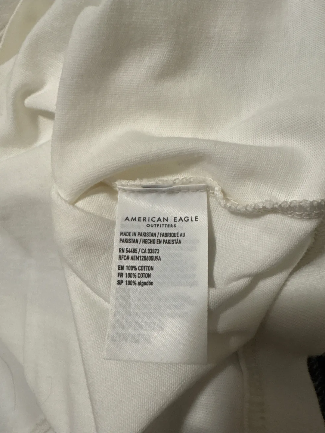 American Eagle Boxy Fit White Graphic T-Shirt image indicator(4)