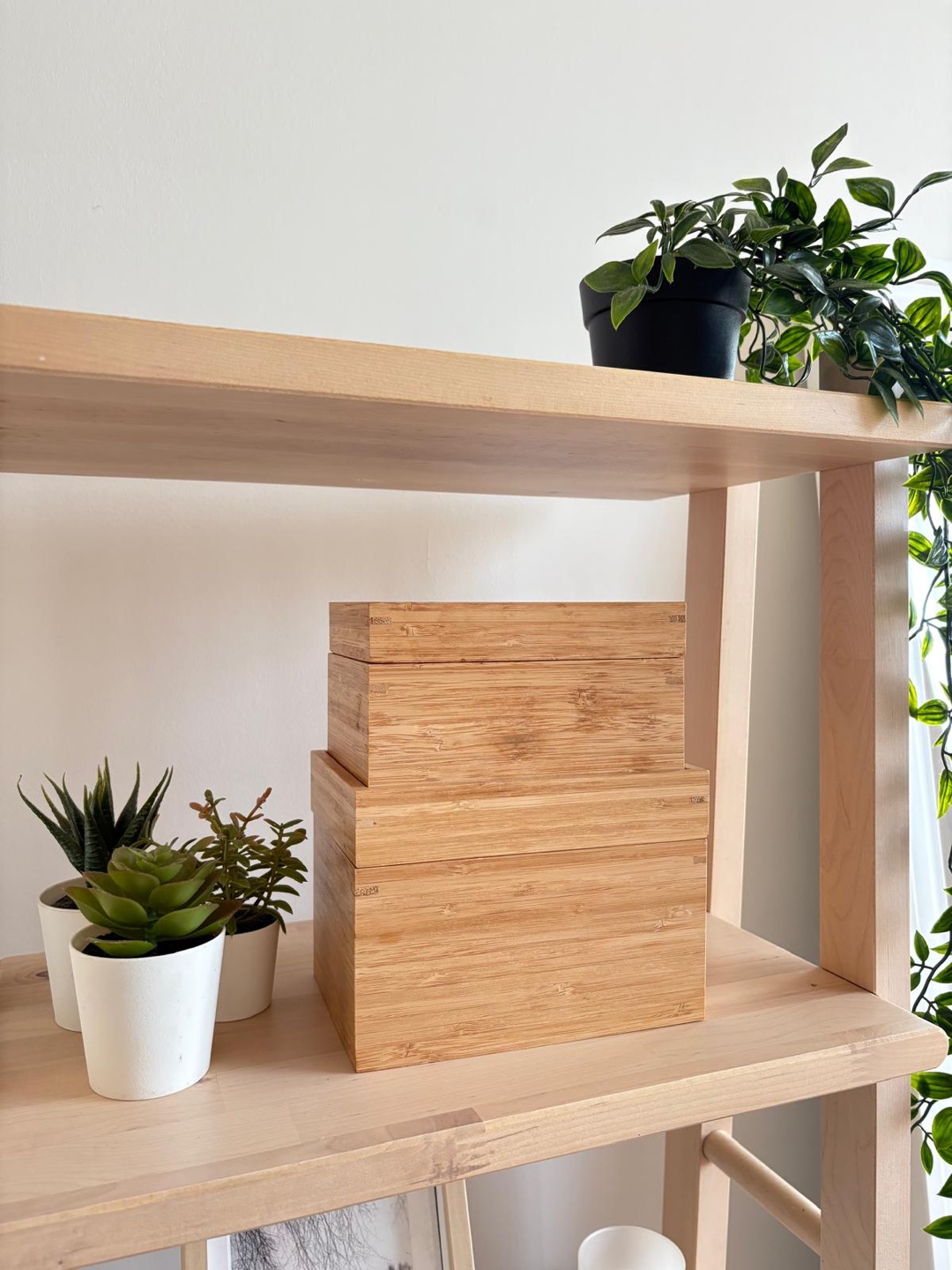 Shelf unit with  accessories - photo 2