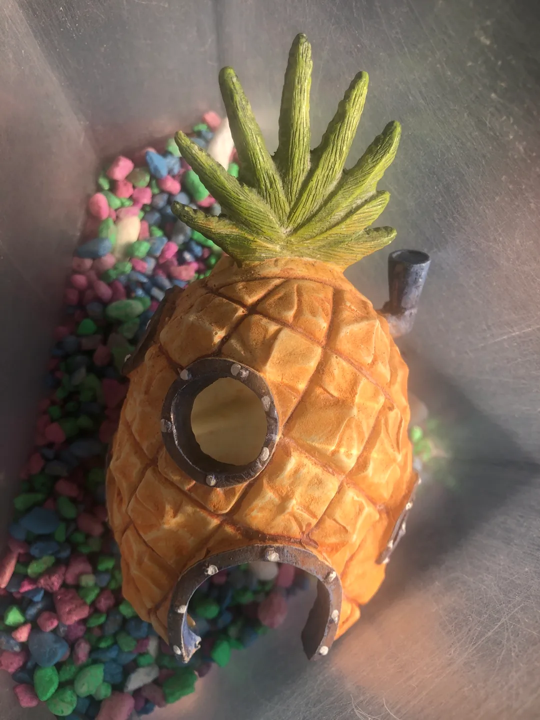 #freecycle Aquarium Supplies: Pineapple House, Food, Net thumbnail