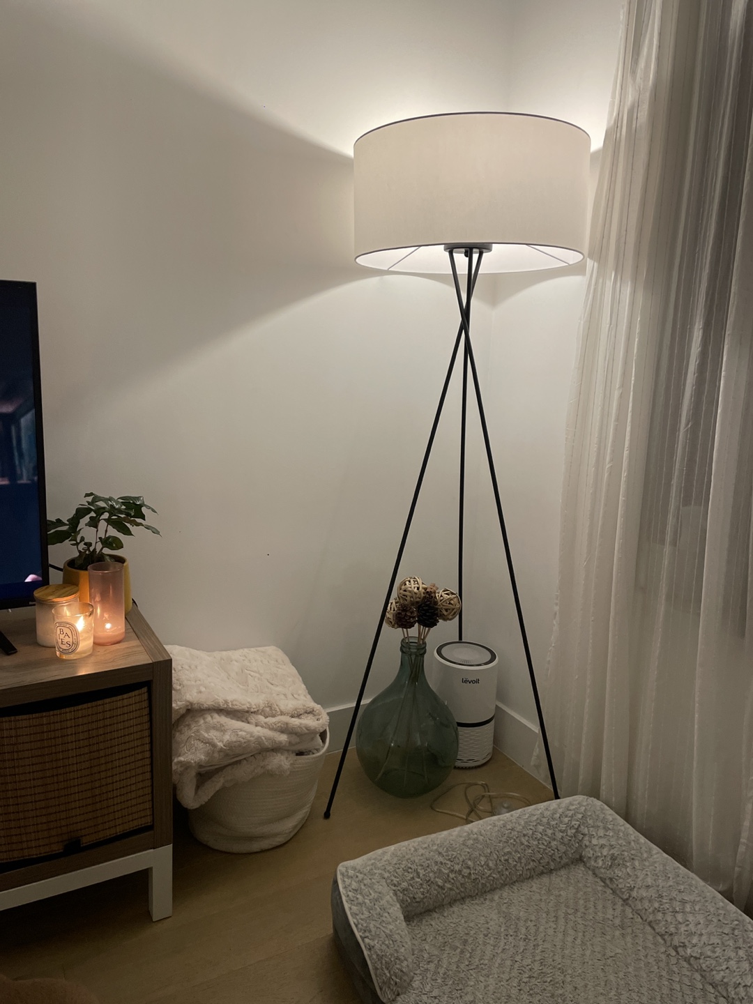 West Elm Tripod Floor Lamp