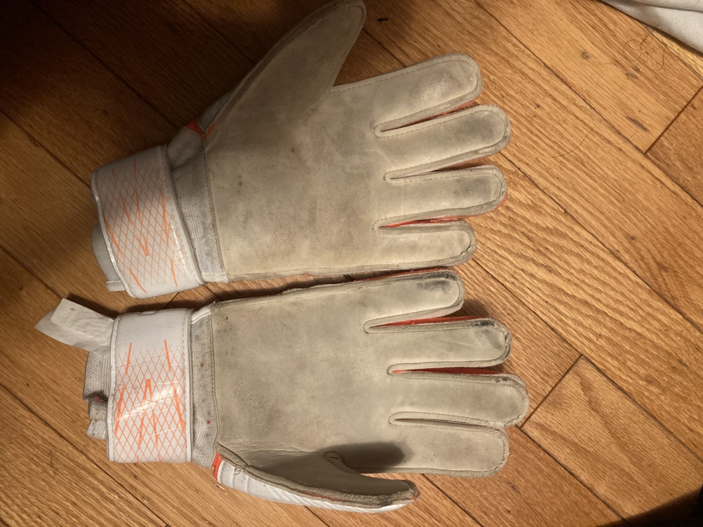 Lotto Goalkeeper Gloves