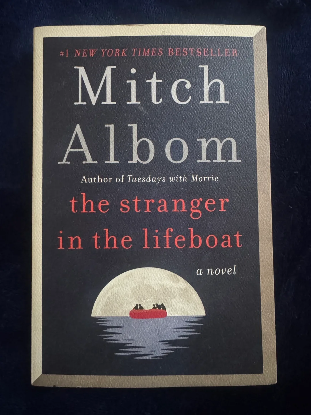 Mitch Albom - The Stranger in the Lifeboat thumbnail