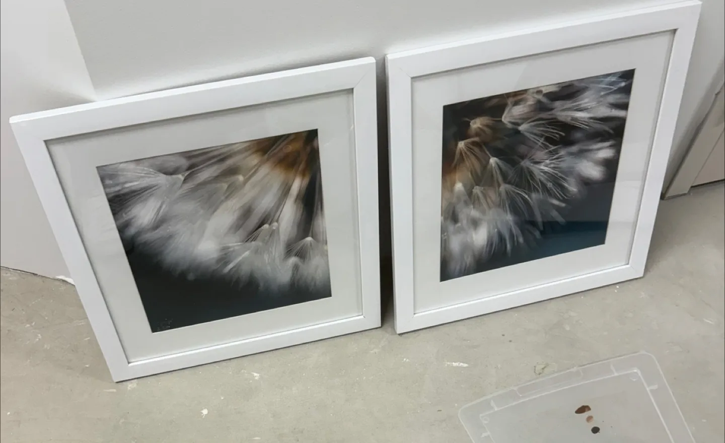 Framed Dandelion Print Art - Set of 2 thumbnail