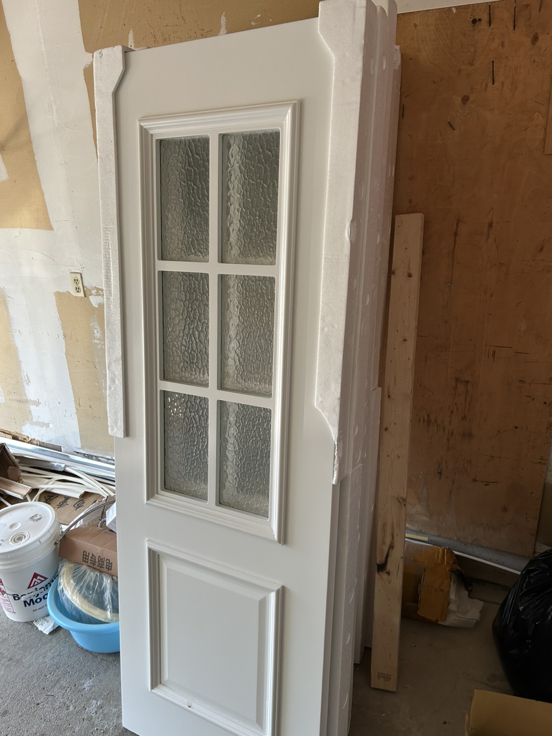 White Interior Door with Glass Panes - photo 2