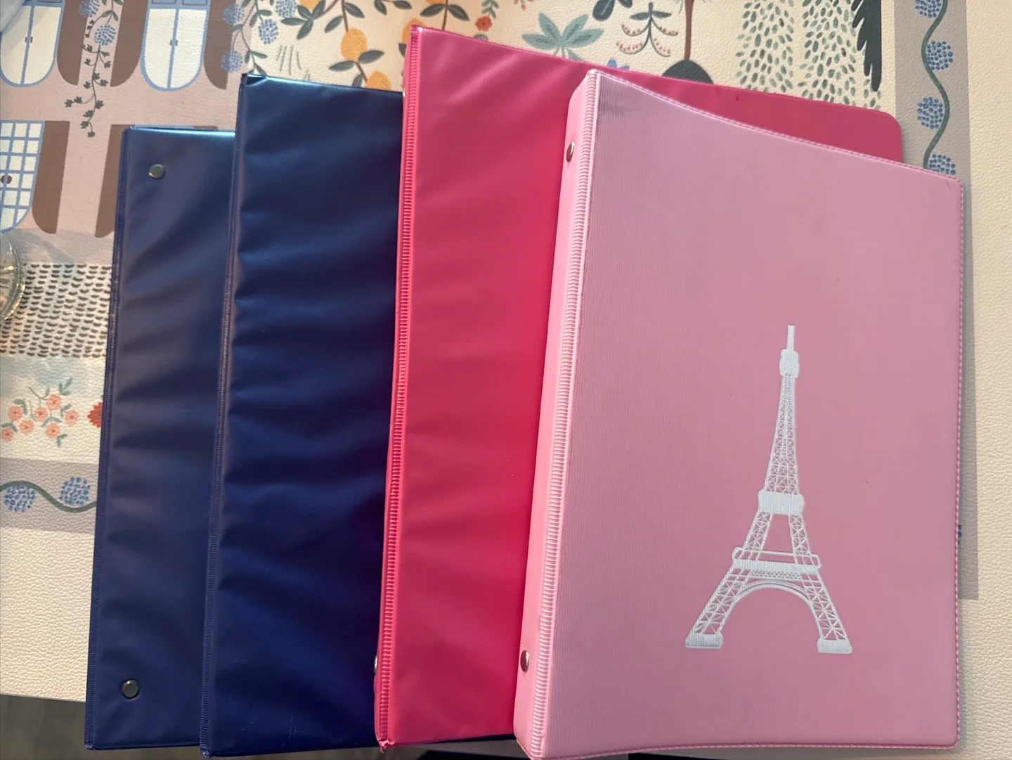 3-Ring Binders - Pink & Blue thumbnail